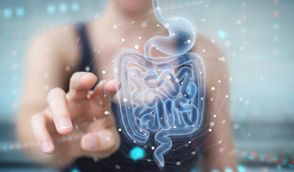 A deep-dive into "gut health", and how to improve it