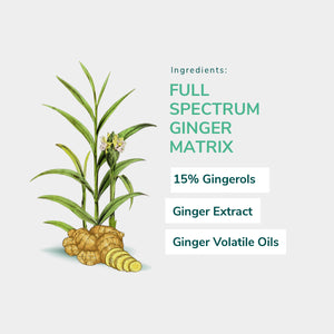 Activ Digest is crafted with the full spectrum of bioactive compounds present in ginger rhizome. 